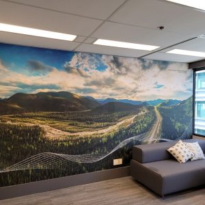 Boreal Forest-min