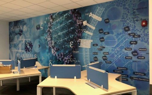 Custom Printed Wallpaper in Vancouver 15