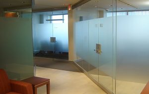 Fasara Vinyl on Office Glass