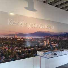 IMG_0984