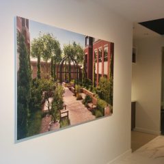 IMG_20160527_105651