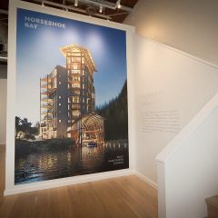 _MG_2087 LR