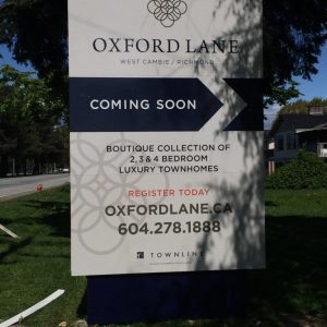 Oxford Lane 8 x 12