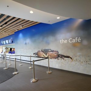 Wall coverings 19