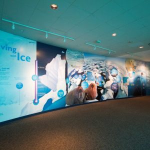 Wall coverings