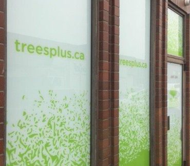 treesplus_4